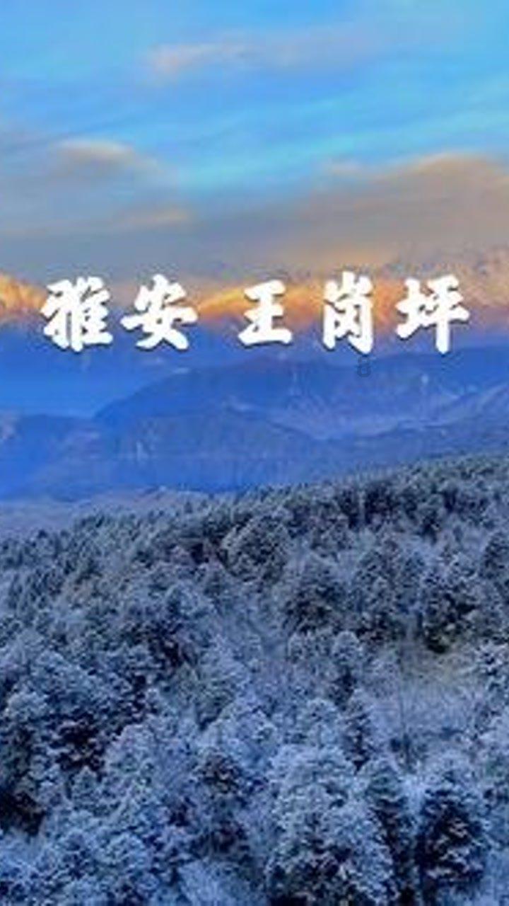 逃离香蕉农田