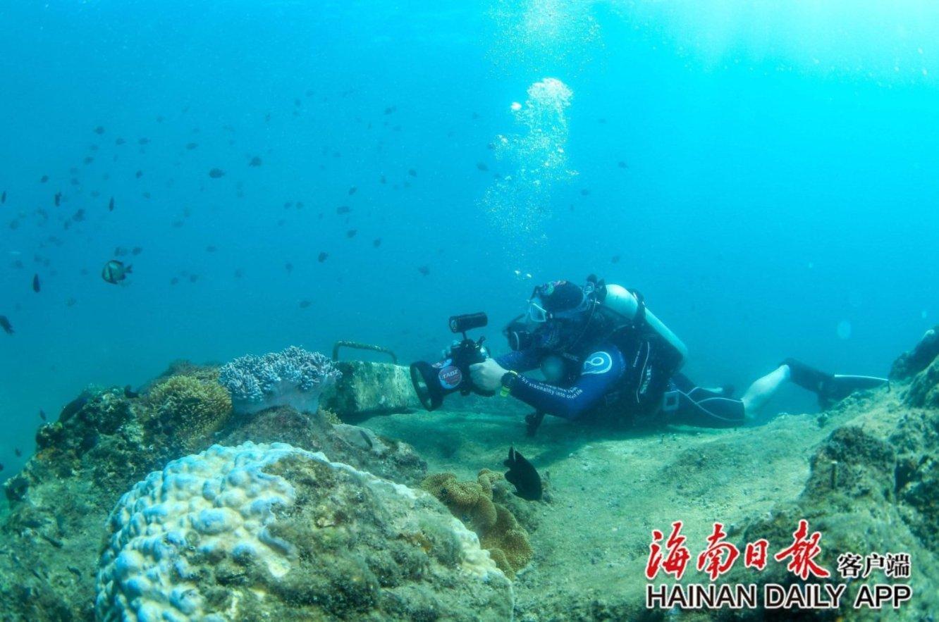 髌骨粉碎性骨折？游戏画面