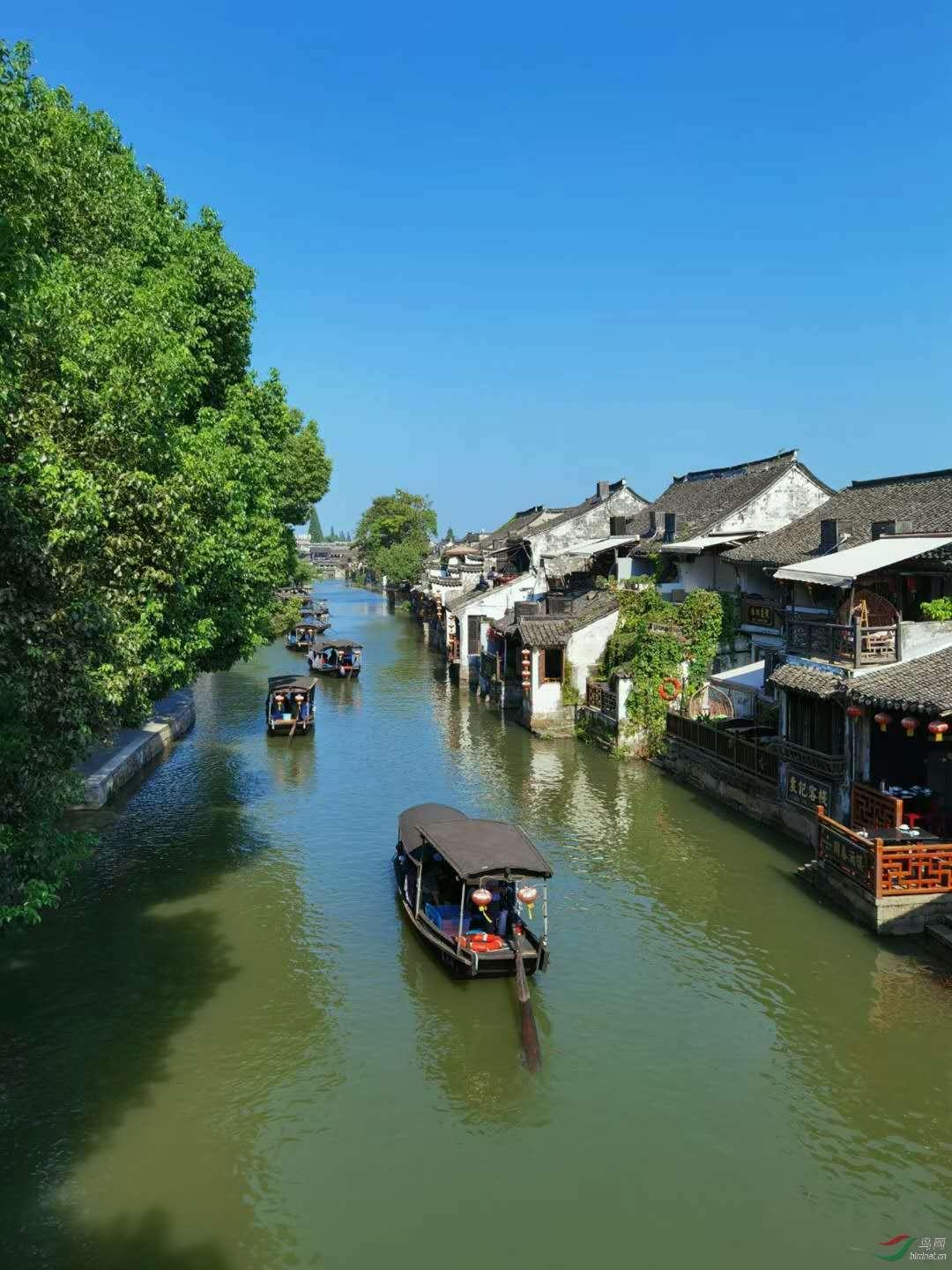 滚动的圆球无敌版