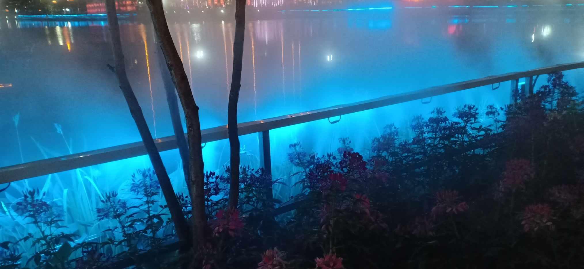 《我们这十年》:谭松韵的《心之所向》原型故事有多感人?-解答您问题的问答网站